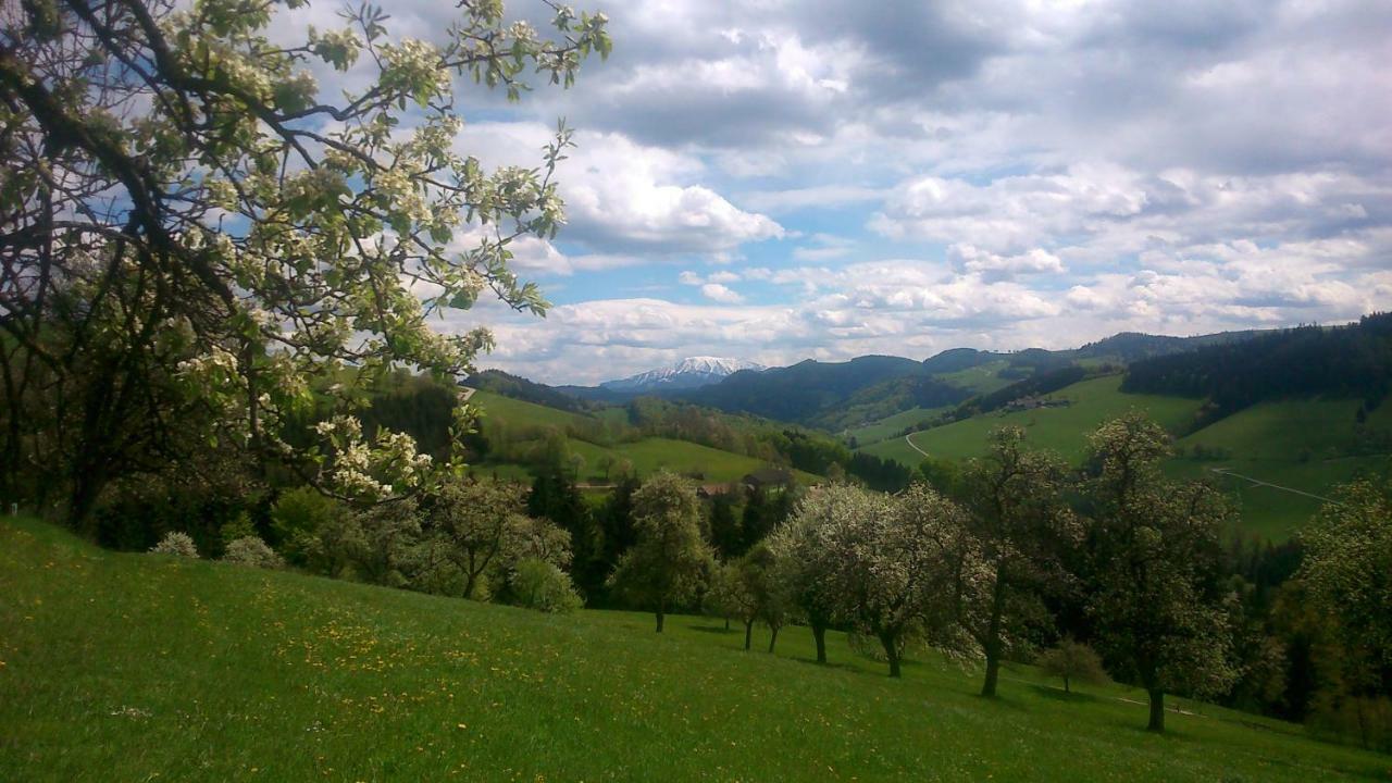 Berghof Hotel Gaming Bagian luar foto
