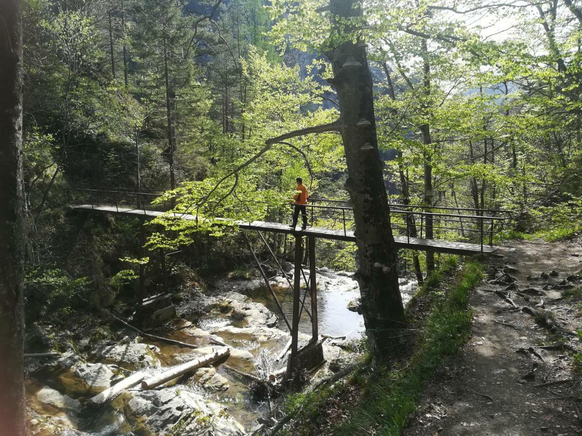 Berghof Hotel Gaming Bagian luar foto